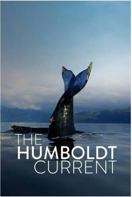 The Humboldt Current 第一季